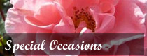 Special Occasions Roses